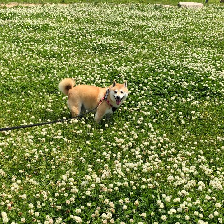 1693f20b e0ea 4a11 80c5 ac810d56f81f 1557292338519