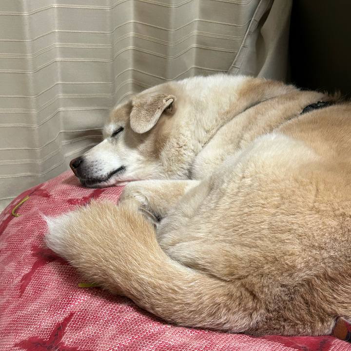 1693fb10 30f6 403e b75b 4f2d4d8db3db 1724338401013