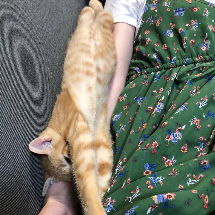 16941307 1a99 476b 854d a1e89dac5c2a 1566041568782