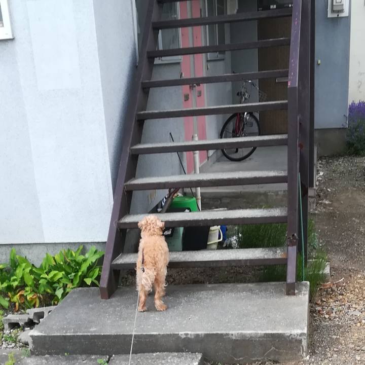 16941c54 d9a8 45ee b007 39168d3fbe91 1531953360457