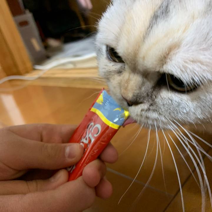 1694241d 0e19 4ee9 abd3 e3cd40464e6f 1710668920598