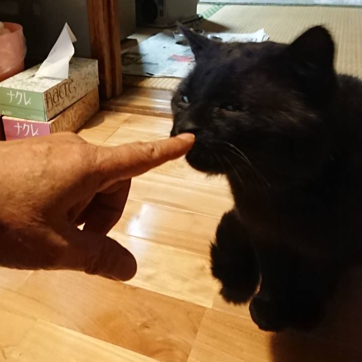 16942c81 a9a3 4266 97b7 03fa969dd5c9 1620300547777