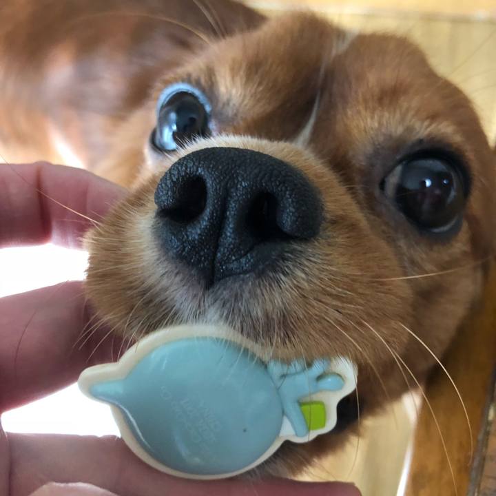 1694352b 322e 43b8 a99a 6c848af4cd37 1535495608024