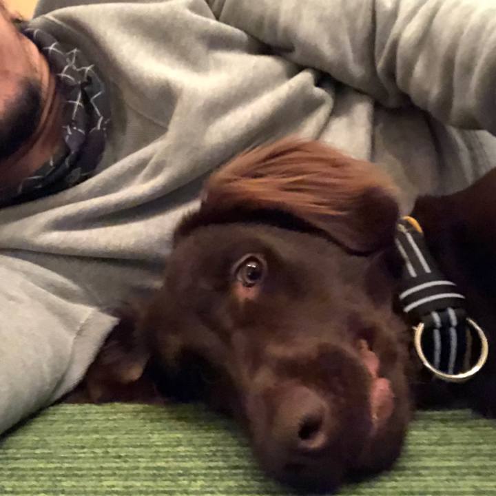 16944157 dd3f 46dd 8fee 8091943e6b83 1579141588763