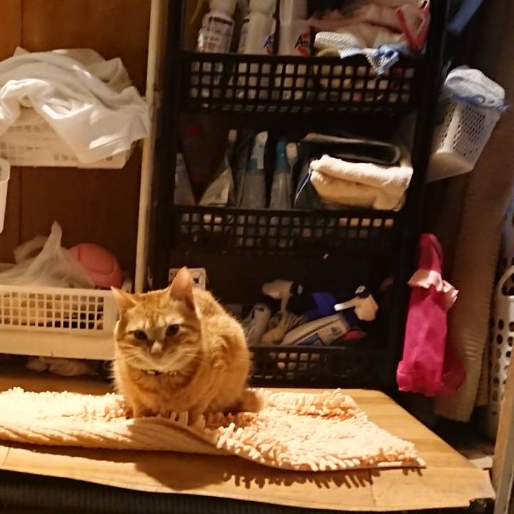 16947658 54a8 47c4 931c 173f8b4e0936 1644490265809