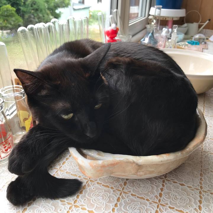 16947a21 cfac 4f6d bd43 7910e858c3e9 1593325326219