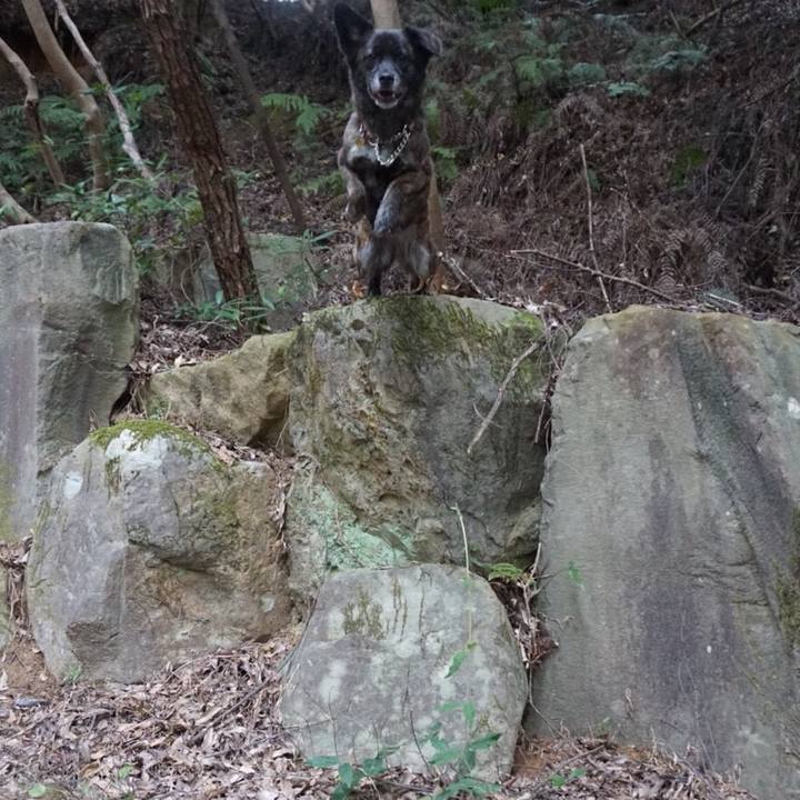 16948415 a361 4a4a bca0 f280ee69f8c6 1523958662116