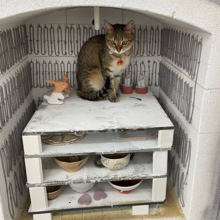 1694dba2 2b0d 42c5 8603 a8a703989ea6 1670481392984