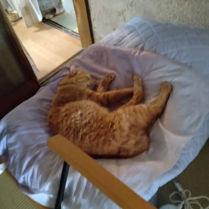 16950438 d6aa 49bd 925d ab0c82f0df37 1720394490214