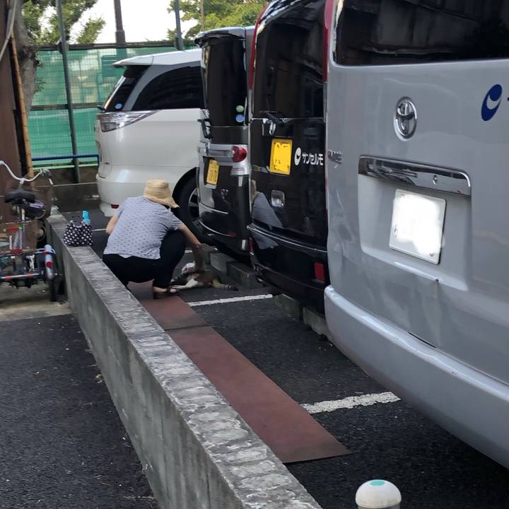 16952867 04b2 4630 8175 3d0c7c1e559a 1565876598818