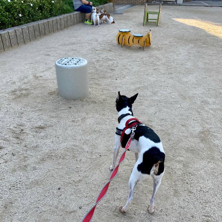 16954a12 0acc 4caf a4f4 9c65aad9f32e 1592954445472