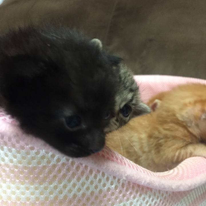 169556ca d606 4805 a8c4 a77408a94770 1531874487400