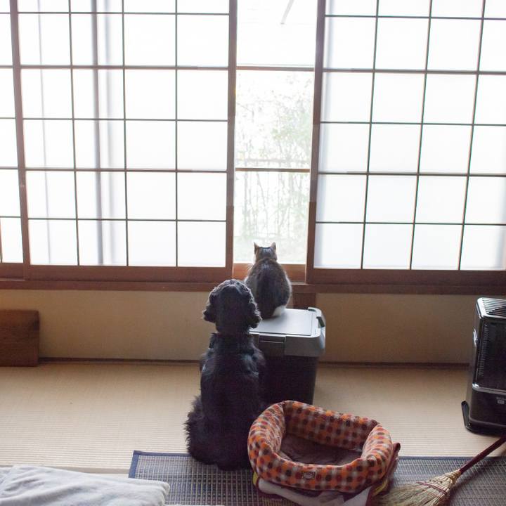 1695c456 5567 410b 9981 5330661a8319 1548764964098