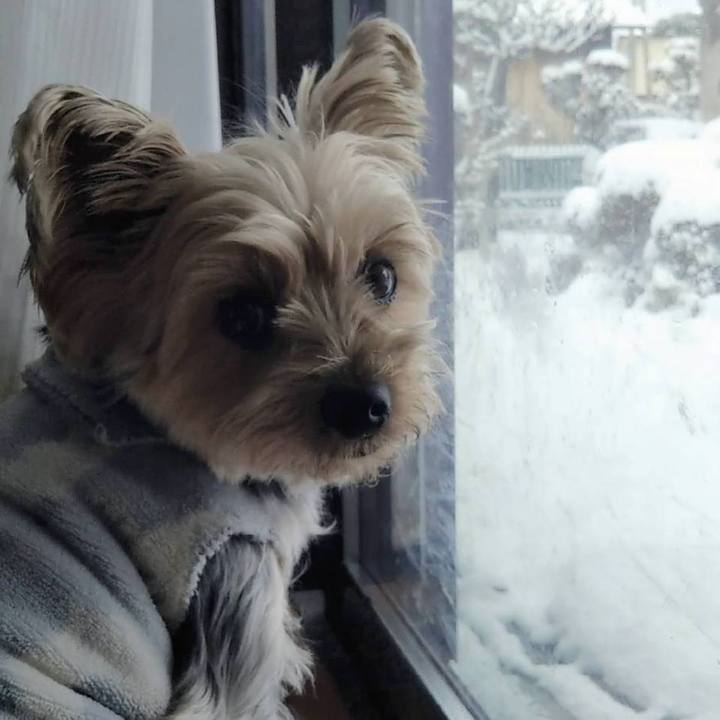 1695cdad b76e 4034 a707 a47495834d44 1674609514496