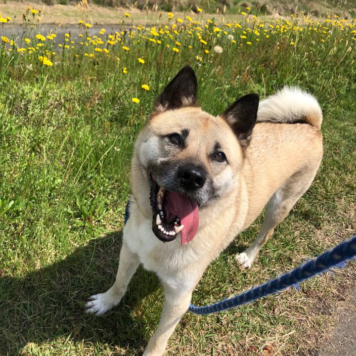 1695d6da 2e21 4bae a308 638f65469637 1589701218590