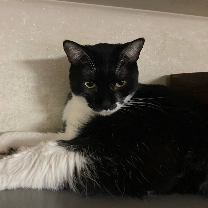 16963cfe 1cd7 4cde b491 86d04276aa38 1745635991895