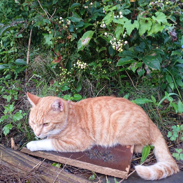 16966311 8702 4e8b 8c55 033eecb40da6 1566247822754