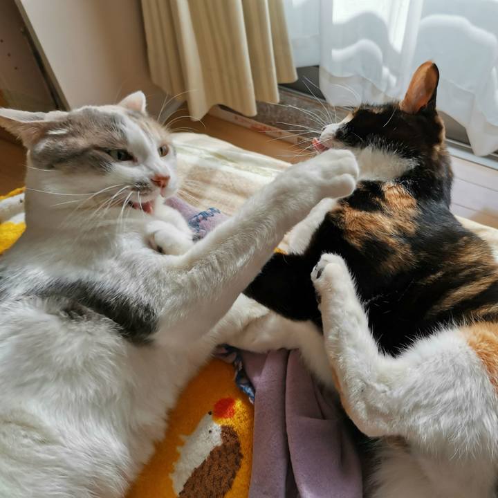 1696bc4b e8dc 4c98 8ace dbe24b2a9b86 1673327690497