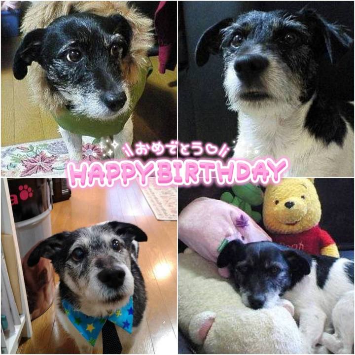 1696dc39 631d 457a bf93 1df371a85e37 1619574866923