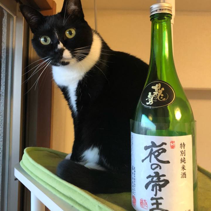 16972055 1197 4c0c 98be 961307a9cba8 1520121722169