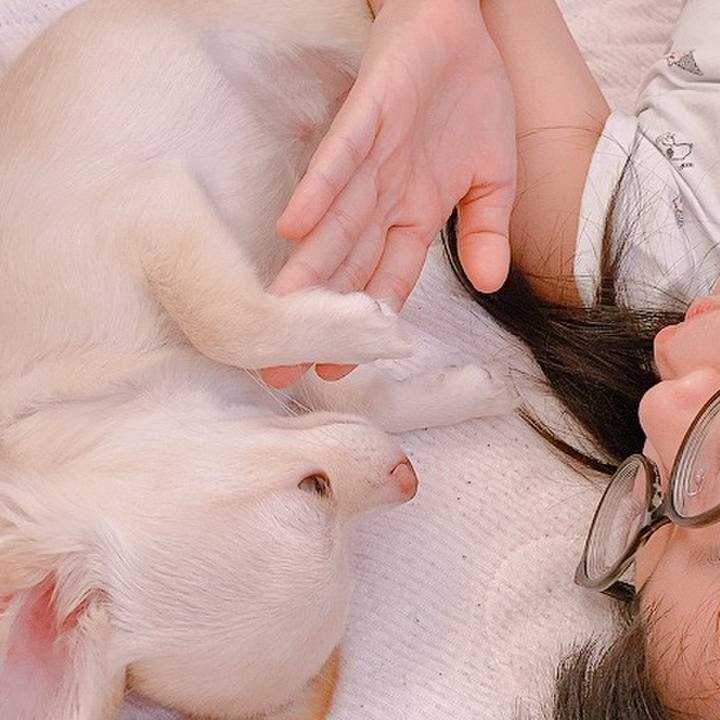 16972681 efa7 4ddc bc3b 2819b0f3d62e 1599948204346