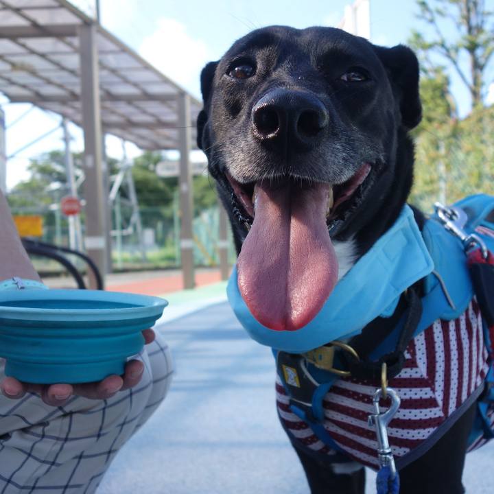 16974fe7 529b 4473 bf2f 1dccf03e6f5d 1626998861695