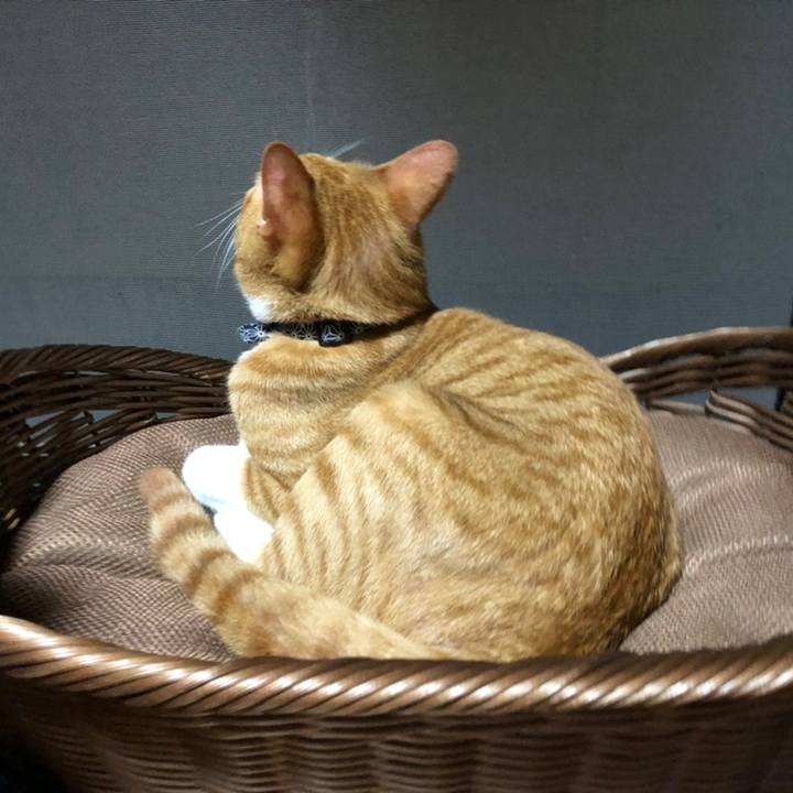 16975a60 8610 4c6f 80d4 89f842d4d687 1558704693811