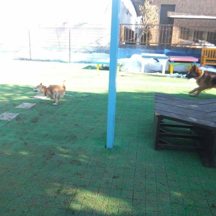 169760cb d362 4bed 9a4e dd600e3275be 1519174200377