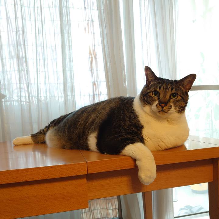 16979ad0 ad6e 4694 9fda f9e47640b919 1596152290766