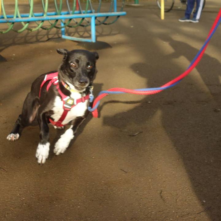 1697ab6a 0cdd 49b5 8454 13ef99f033fb 1602979992343