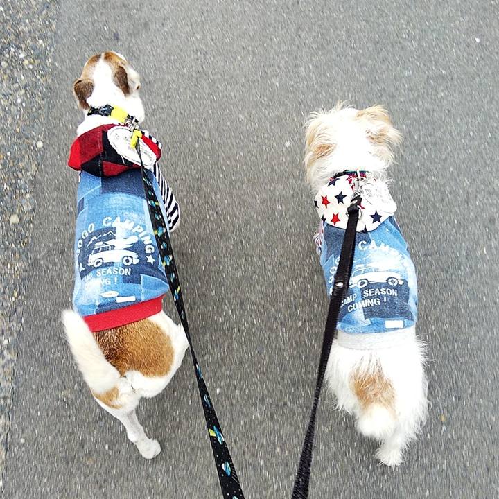 1697c335 25ce 4c6a 9340 a384b4f92d14 1576906575676