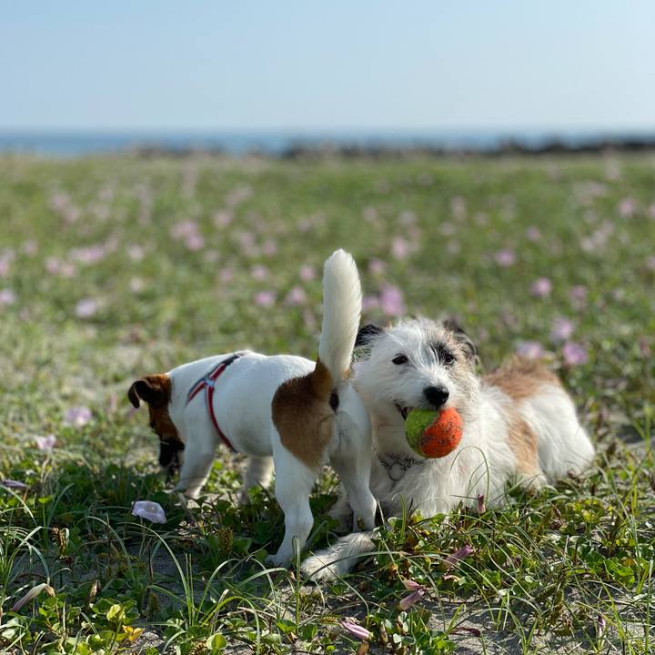 1697f2ba 3309 4564 822f b142d513f79d 1622677524432