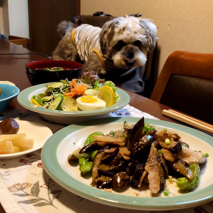 16982962 1bd2 4d5b 8387 2a05c7dba15b 1753801521498