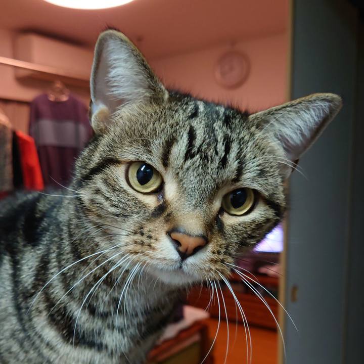 169866e9 de8e 4ca7 a8e0 e11179cf9559 1618065826494