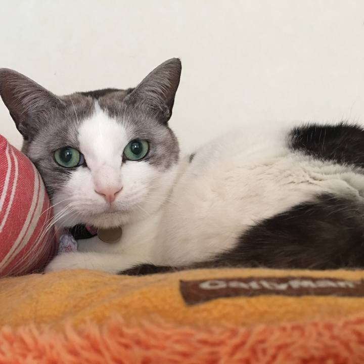 1698b96f 10e4 47fc 84b3 2db03562b3c5 1516148445810