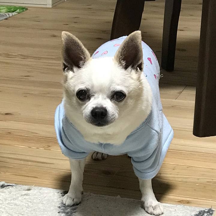 1698ceed 83a5 4a75 8615 de4a238fbc6e 1665446242188