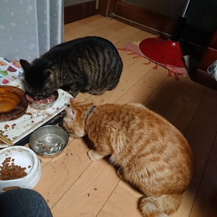 1698db75 b258 4896 b483 76c8ccbaa9a7 1650147022118