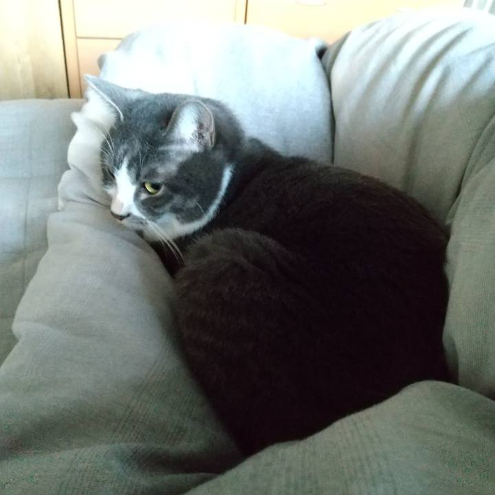 1698eab0 e97e 4669 af34 d6637e424f2f 1608933927225