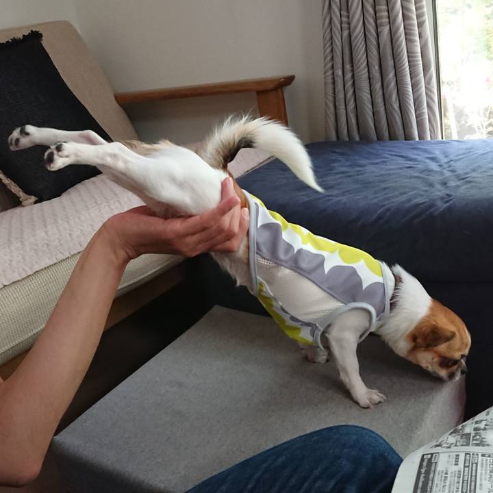 1698edd9 9bdf 4ced a31a 6ff0b7dba56f 1556929926735