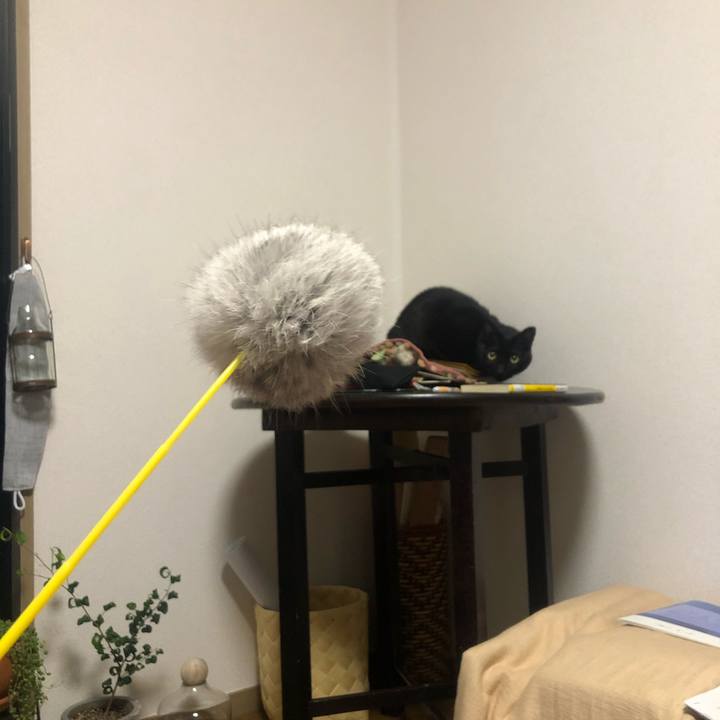 169926cf 10d3 460e af17 352339918d62 1612349128208