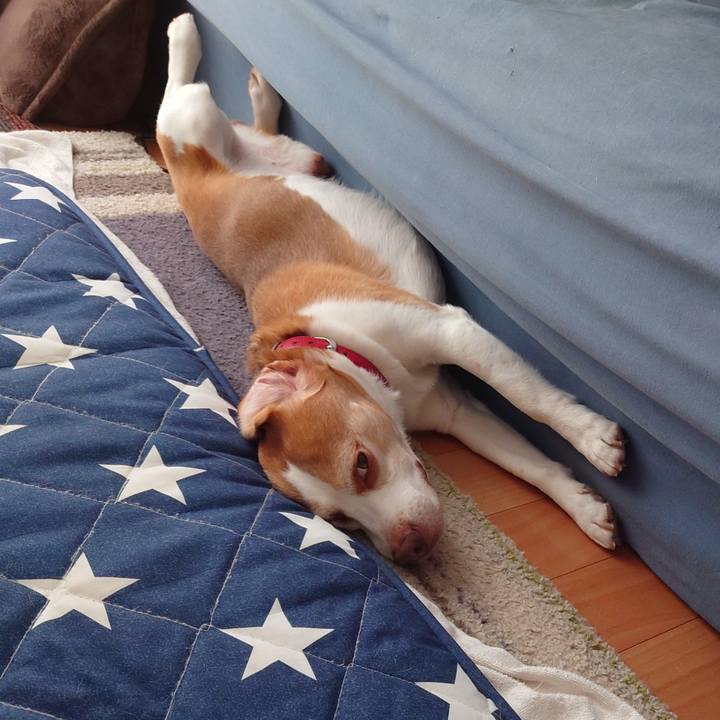 1699417a e072 4b2a 8d3d c511c2fe5655 1721186307518