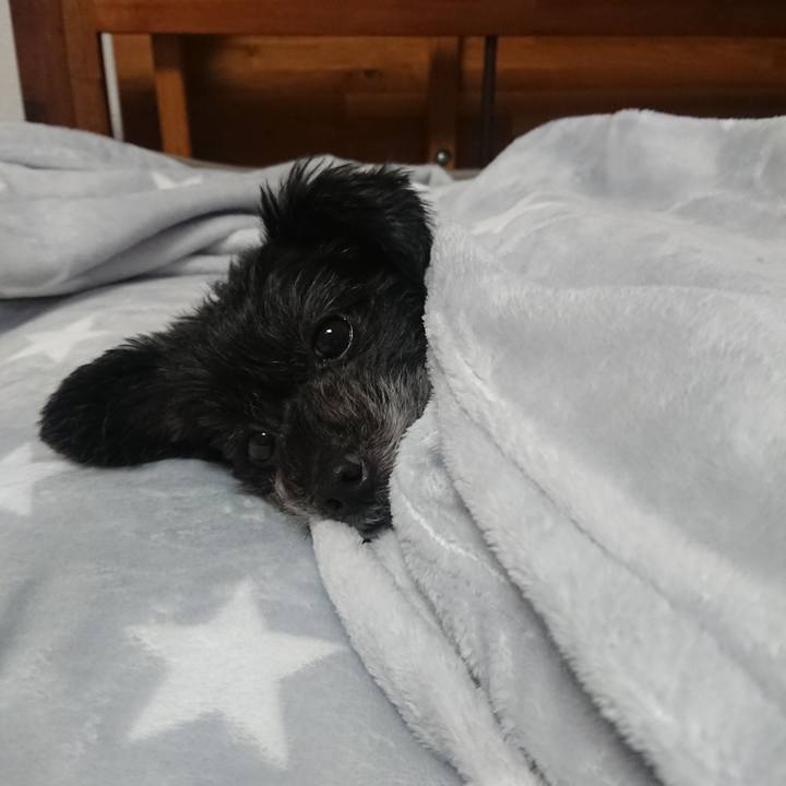 169943de 451a 4fb8 8eaf e1680c932d9d 1572958710775