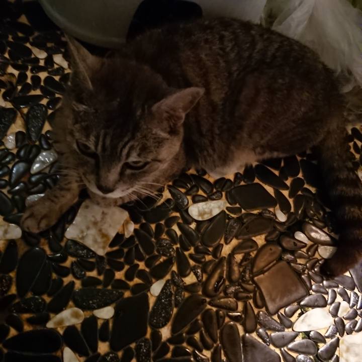 16994511 2c95 4503 af0e 442650b76ebb 1565698069030