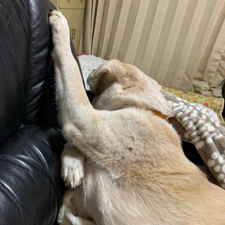 1699536d 15c8 47d6 838b 937257e3914f 1641308756953