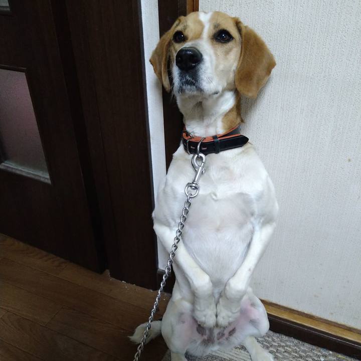 169979de 85cf 4ec3 88fb 7a219bb966e3 1620297494995