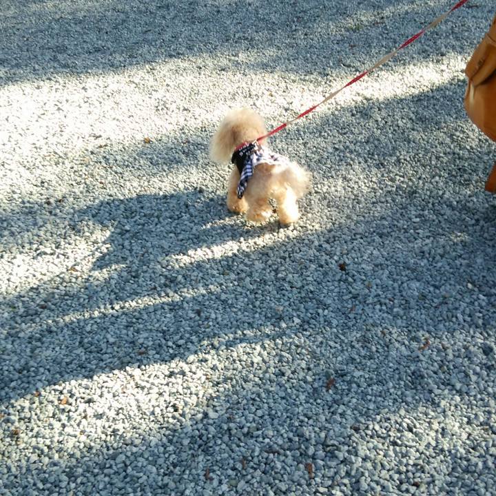 16997d72 1c54 4eed 9ebe 3e4917c0adc5 1540172222899