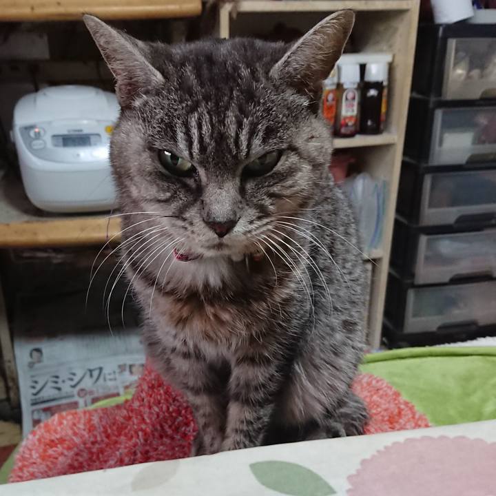 169984fa 2cc5 4f57 8c25 ba0c6aaf322f 1579993490021