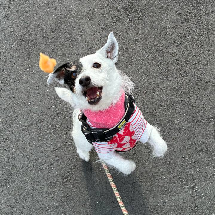 1699ba98 1d34 4f1c 84fd 3d6c810d0a5f 1773011894407