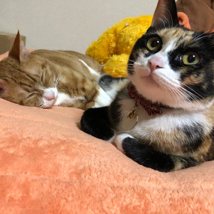 1699c4d6 765d 4b7f 9b1b 075c4b0608c0 1557496225475