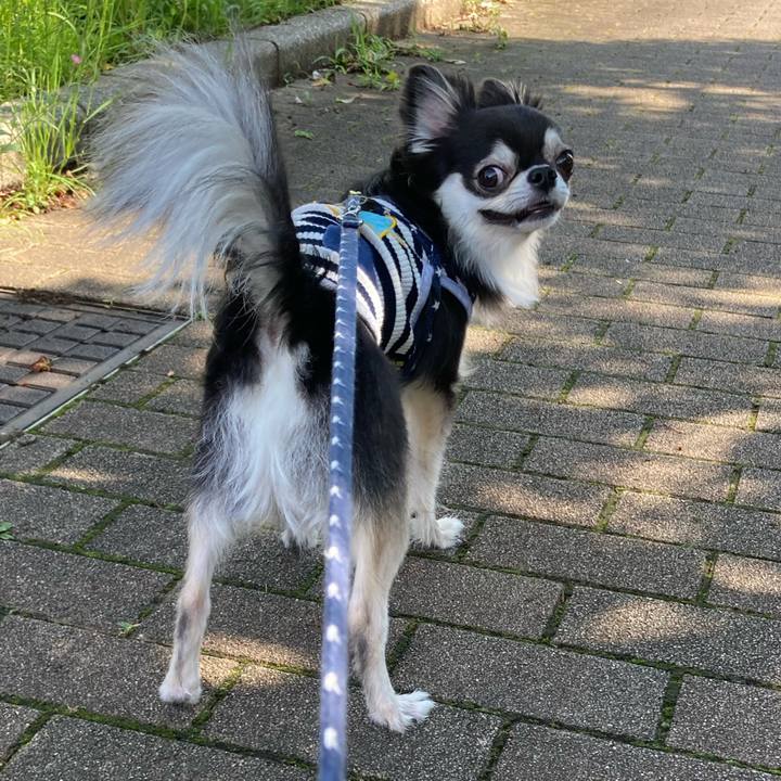 1699d1f2 48d4 4f6b b07c c62c7a399751 1654317182089